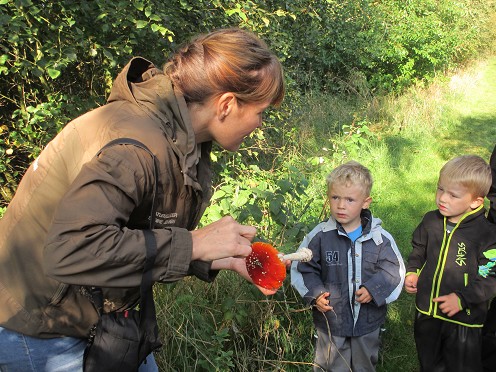 Natur og Naturf&aelig;nomener