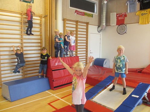 Krop og Bev&aelig;gelse